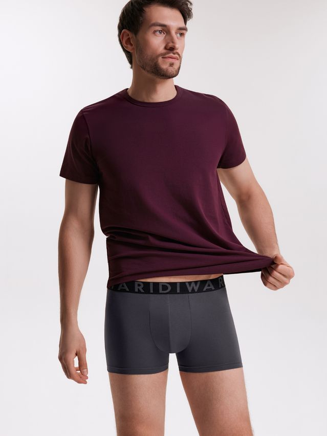 Men's underpants DIWARI PREMIUM MSH 3300, s.78,82, graphite-graphite - 1