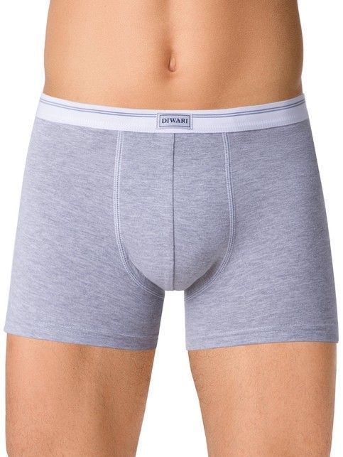 Cotton men's underpants BASIC SHORTS 015 (packed on mini-hanger)