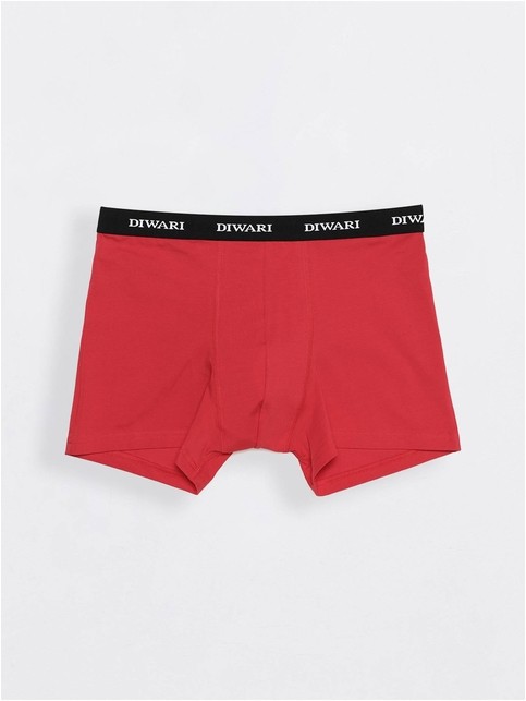 Cotton men's underpants BASIC SHORTS 147 (packed in mini-box)