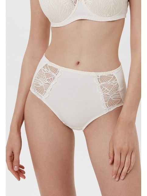 Briefs 