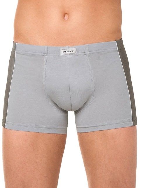 Cotton men's underpants BASIC SHORTS 119 (packed in mini-box)
