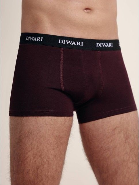 Cotton men's underpants BASIC SHORTS 147 (packed on mini-hanger)