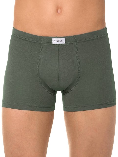 Cotton men's underpants BASIC SHORTS 127 (packed on mini-hanger)