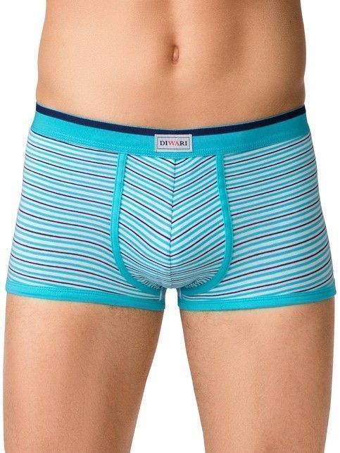Cotton men's underpants BAND SHORTS 409 (packed in mini-box)