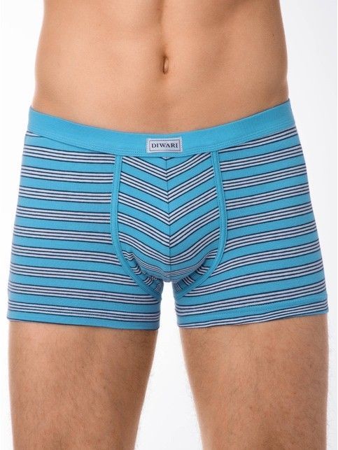 Cotton men's underpants BAND SHORTS 410 (packed in mini-box)