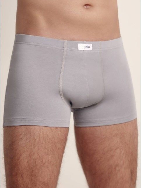 Cotton men's underpants BASIC SHORTS 127 (packed in mini-box)