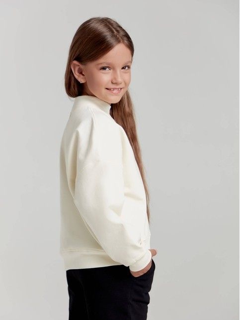 Sweatshirt on fleece with embroidery DD 1448