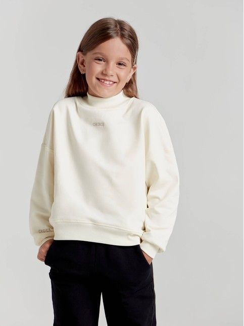 Sweatshirt on fleece with embroidery DD 1449