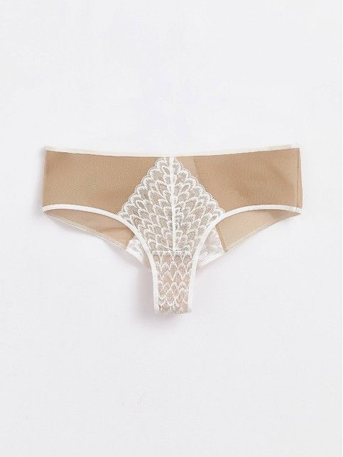 Briefs 