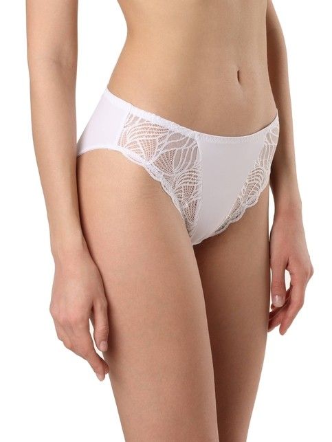 Briefs 