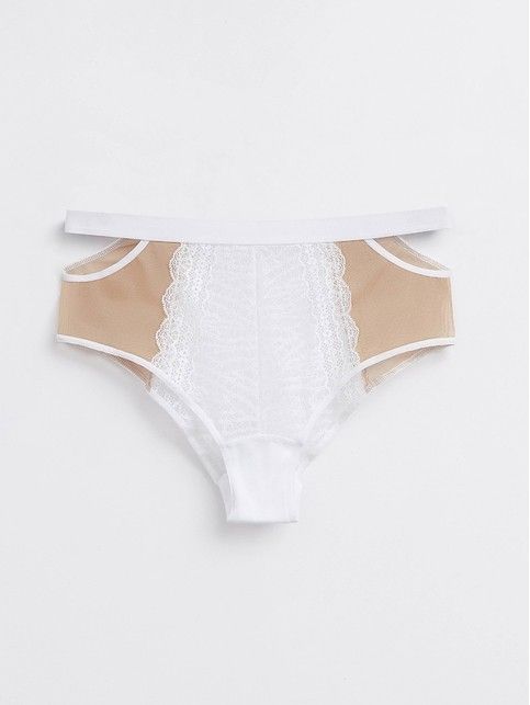 Briefs 