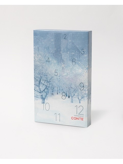 Women's socks CONTE ELEGANT NEW YEAR (4 pairs),(2 pairs)