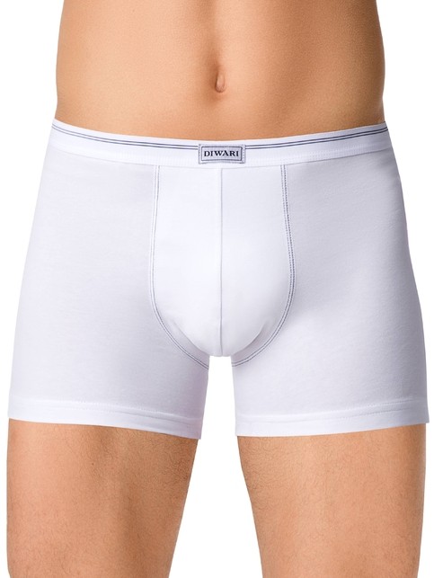 Cotton men's underpants BASIC SHORTS 015 (packed in mini-box)