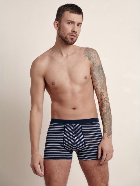 Cotton men's underpants BAND SHORTS 810 (packed on mini-hanger)