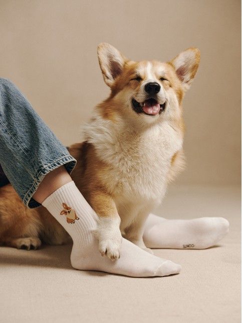 CONTE FANTASY - buy in the online store Conte