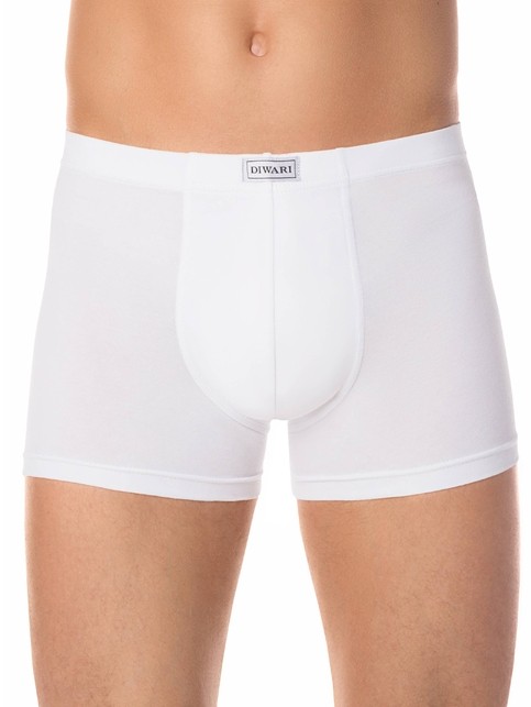 Cotton men's underpants BASIC SHORTS 127 (packed on mini-hanger)
