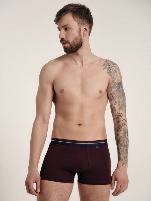 Cotton men's underpants PREMIUM SHORTS 755 (packed in mini-box)